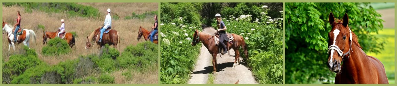 guided-horseback-riding-California-horse-stable-ranhc-lessons